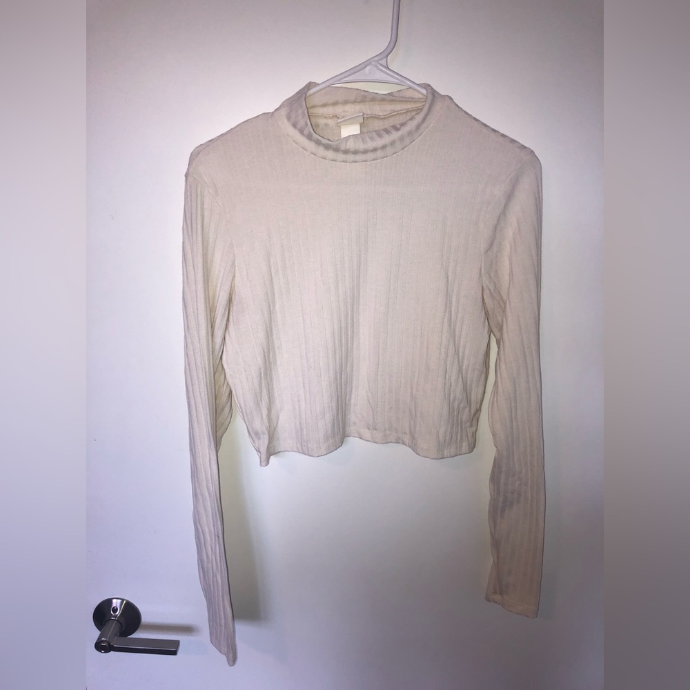H&M Cropped Long Sleeve Turtleneck